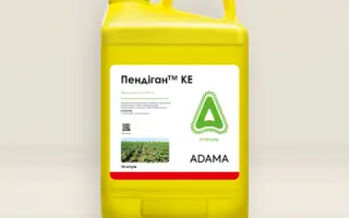 Пендіган 330,к.е., Гербіцид