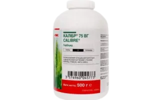 КАЛИБР 75 В.Г.