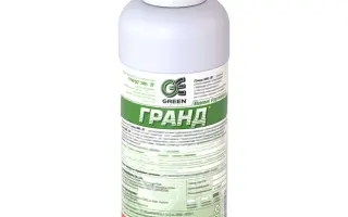 Гранд WG в.г.