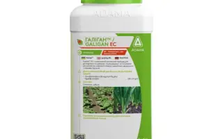Галіган 240 ЕС к.е., гербіцид