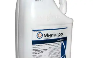 Мілагро 040 SC к.с.