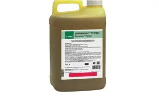 Пірамін Стар к.с.