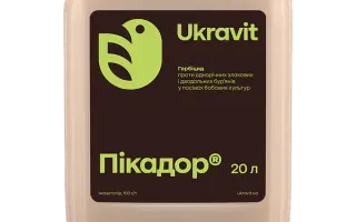 Парі В.Р.К., (Імазетапір 100 г/л)