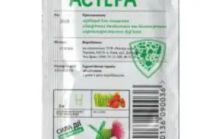 АСТЕРА, в.р.