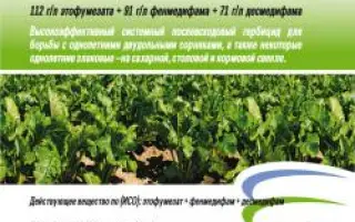 Експерт Тріо к.е.