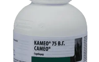 Камео 75,в.г., (Трибенурон-метил,750 г/кг)