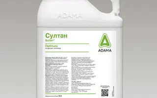 Кардинал з.п.