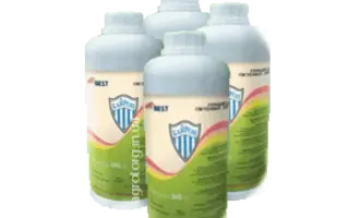 Байрон,в.г., (Римсульфурон,500г/кг+тифенсульфурон-метил,250г/кг)