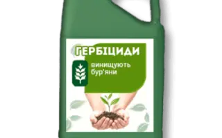 Віктор,480 SC к.с., (100 г/л фенмедифаму + 80 г/л десмедифаму +