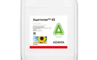 Ацетоган 900 к.е.