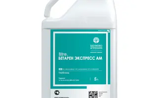 Бетарен Експрес АМ