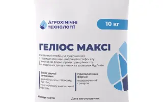 МАКСИМУС К.Е.