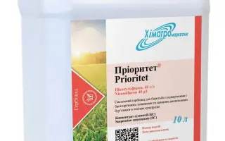 КОНСУЛЬТАНТ К.С., (НИКОСУЛЬФУРОН 40 Г/Л)