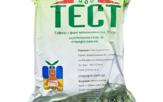 Тест в.р.г.