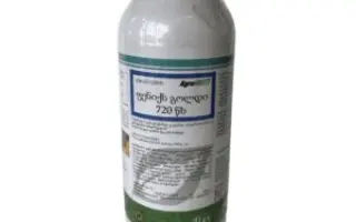 Император Голд