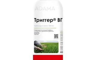 Триггер в.г.