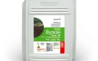 Вулкан Плюс