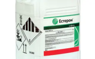 ЕСТЕРОН