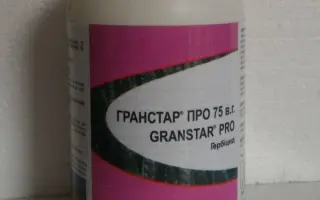 Гранстар Про 75