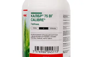 Калібр 75, в.г., (Трибенурон-метил, 250 г/кг+тифенсульфурон-мети