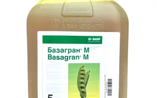 Базагран М