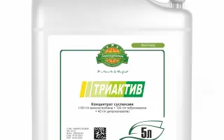 Триактив к.е.