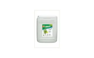 ТАЙФУН, К.Е.