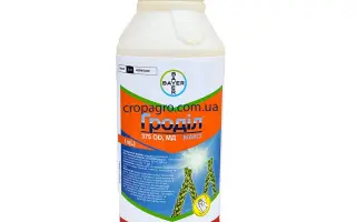 Гроділ Максі OD