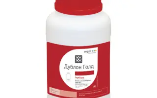 Дублон Голд