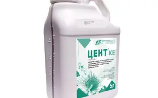 ЦЕНТ К.Е., ГЕРБИЦИД З (КЛОТЕДИМ, 240 г/л)