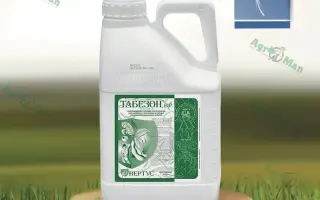 ТАБЕЗОН В.Р.