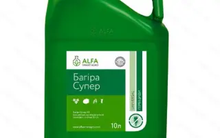 Багіра-Профі