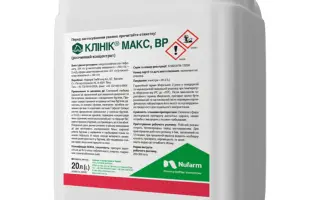 Клиник Макс