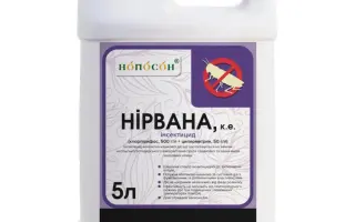 НИРАНА