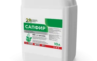 Сапфір в.р.к