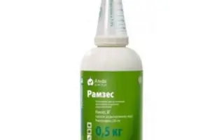 Рамзес, в.г., (Римсульфурон, 250 г/кг)