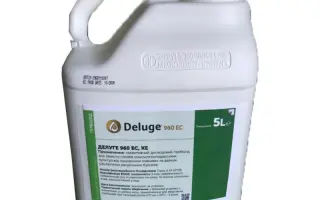 КОНЦЕП ІІІ 960 ЕС