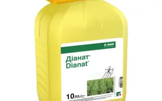 ДИАНАТ