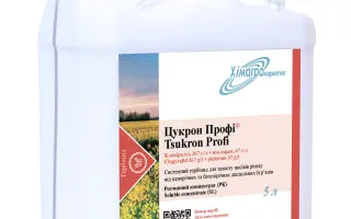 Крейсар, РК, (Клопіралід, 267 г/л + піклорам, 67 г/л)