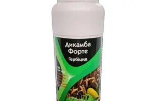 Дикамба Форте