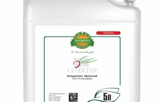 СЕЛЕКТОР К.Е.