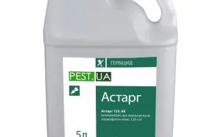 Астарг 125, КЕ