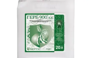 Астанес 900, КЕ