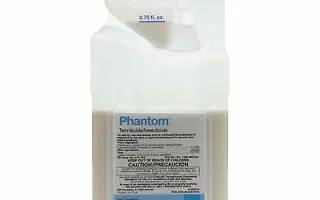 ФАНТОМ ЕС, КЕ