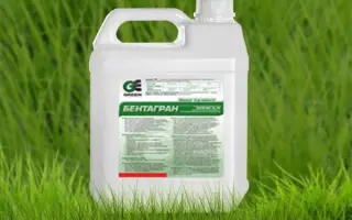 Бентагран AS