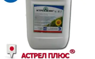 АСТРЕЛ ПЛЮС СЕ