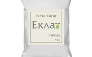Еклат 750 ВГ