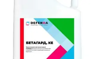 Бетагард, КЕ