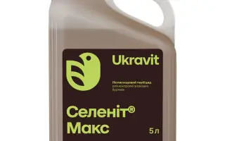 СЕЛЕНІТ