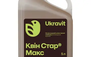 КВІН СТАР МАКС